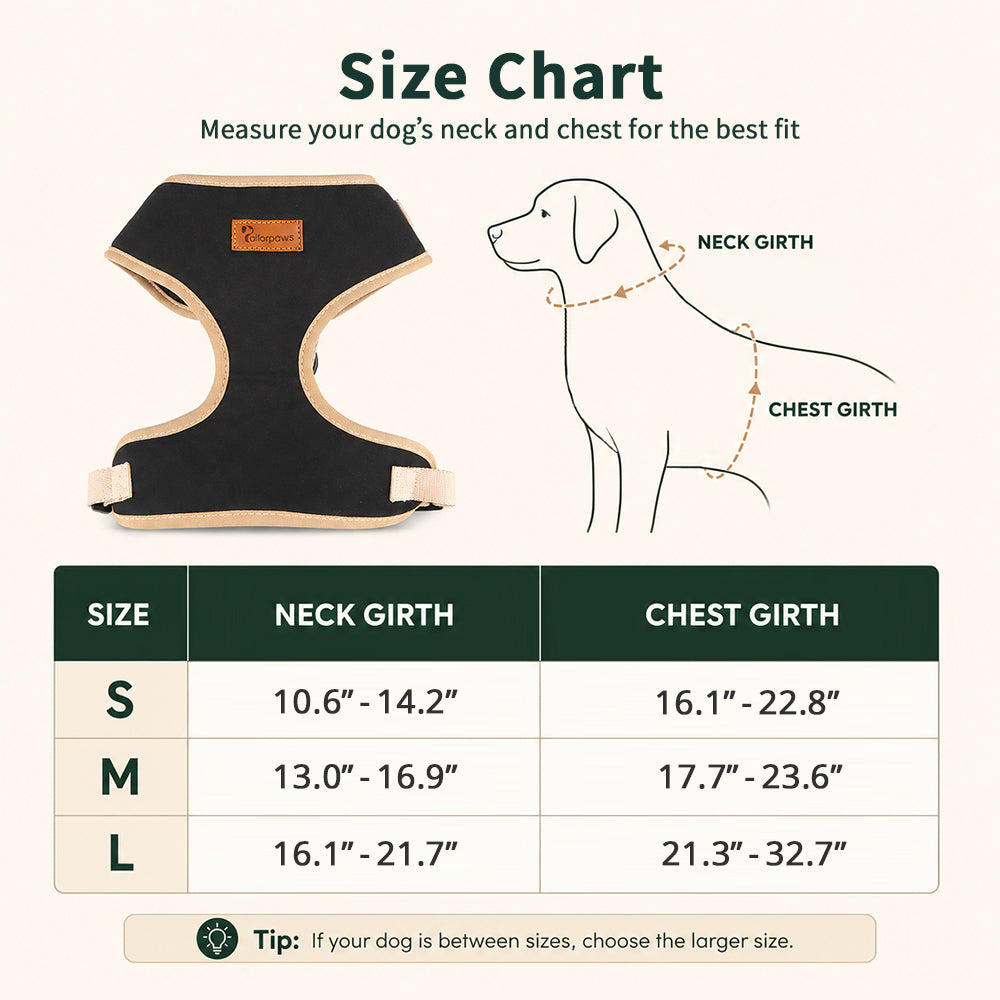 ColorTrail Two-Tone Dog Harness