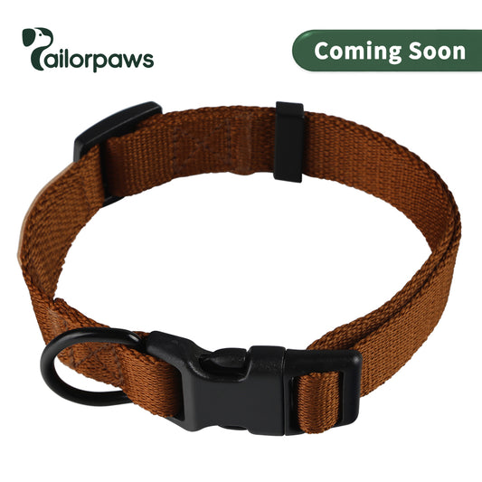 CityFit Quick-Release Dog Collar