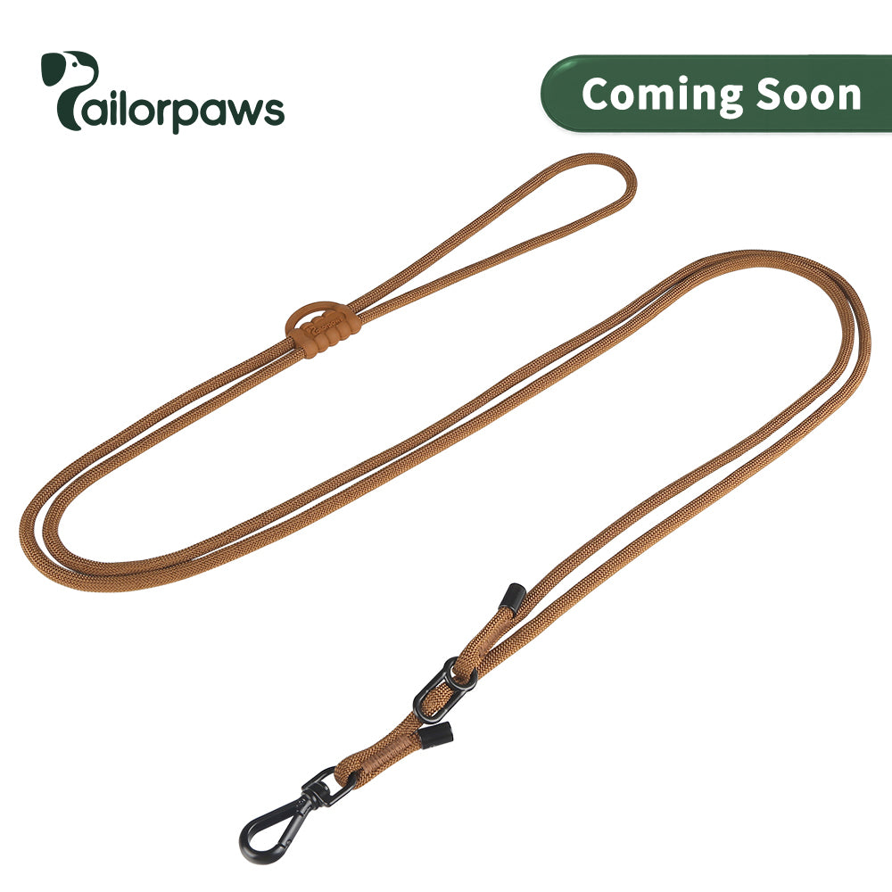 CityLoop 3-in-1 Hands-Free Dog Leash