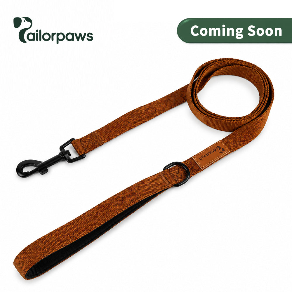 CityStride Everyday Dog Leash