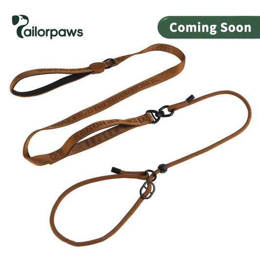 CloseControl Double-Handle Dog Leash