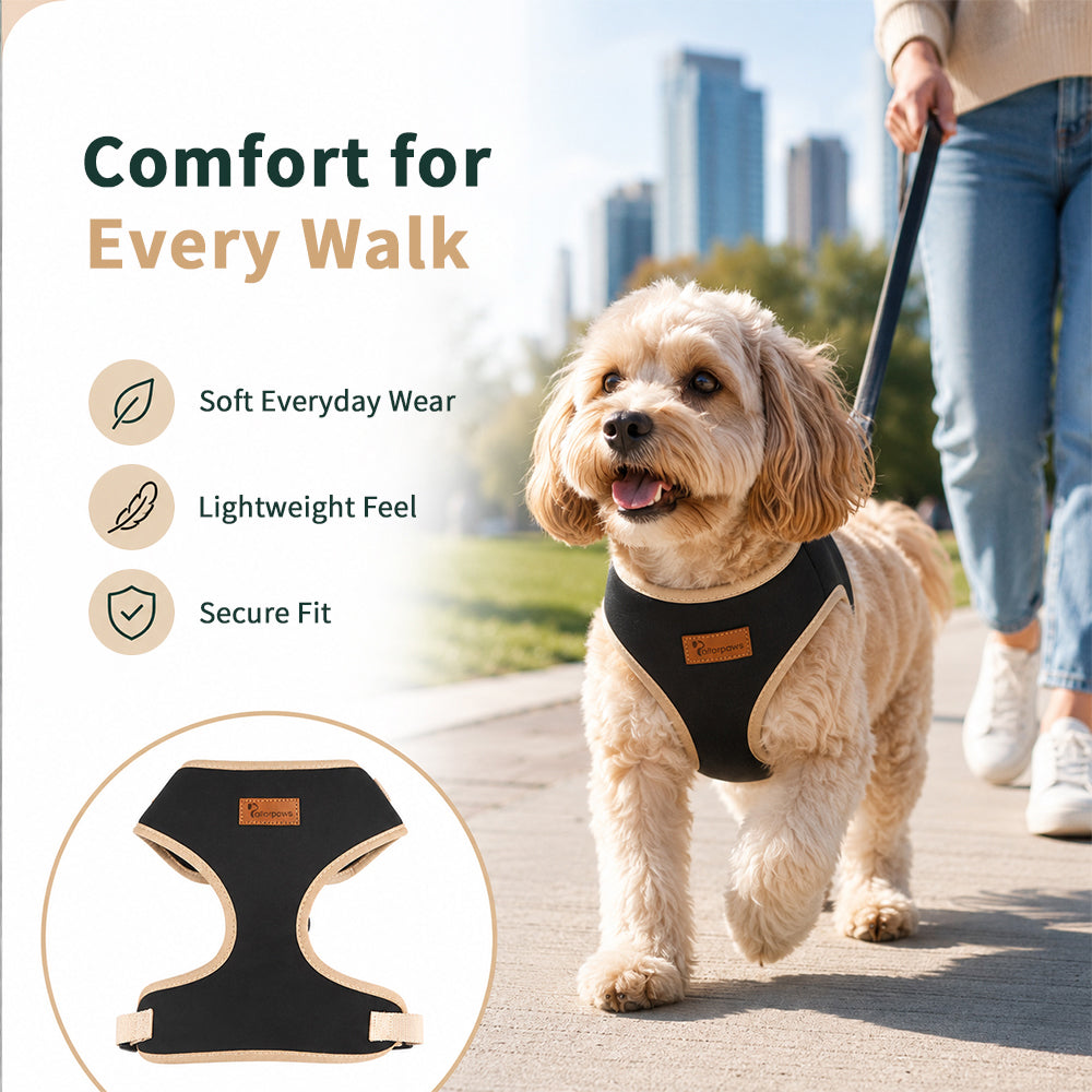 ColorTrail Two-Tone Dog Harness – product detail 4