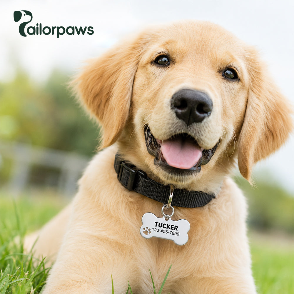 Personalized Dog Tag