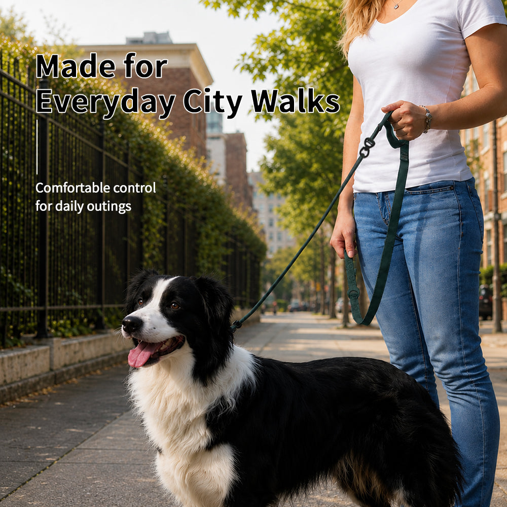 CloseControl Double-Handle Dog Leash – product detail 4