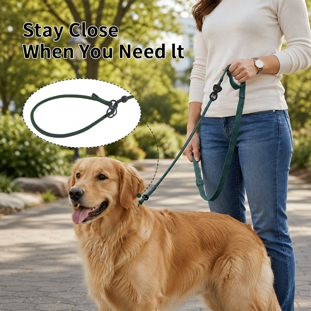 CloseControl Double-Handle Dog Leash – product detail 5