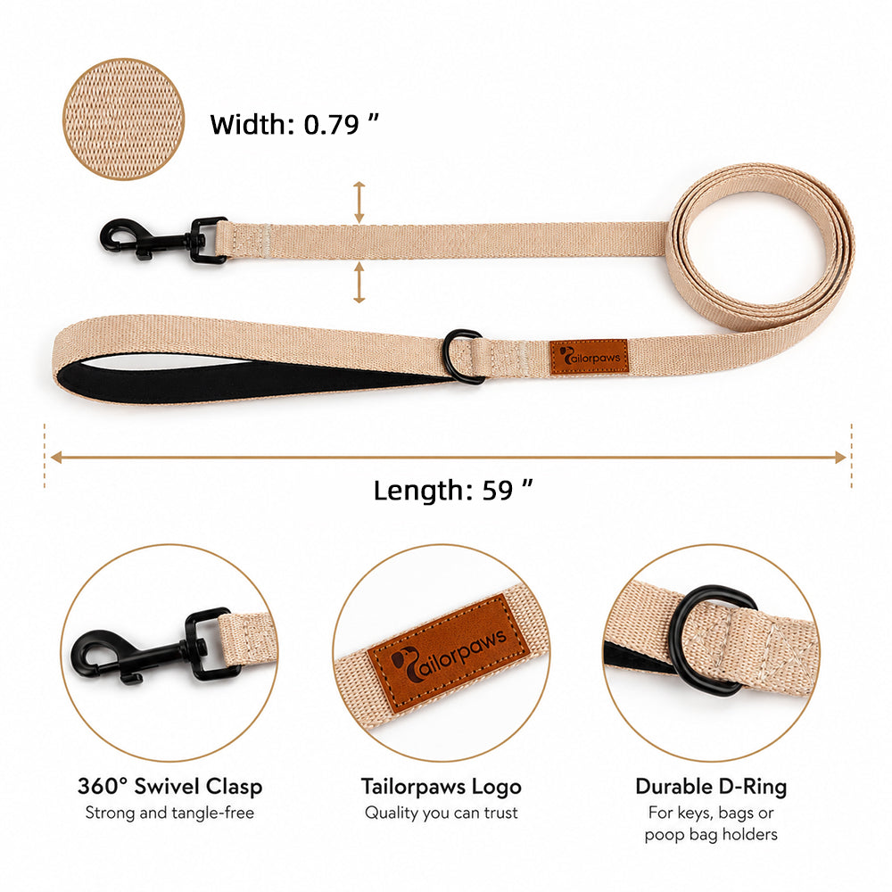 CityStride Everyday Dog Leash