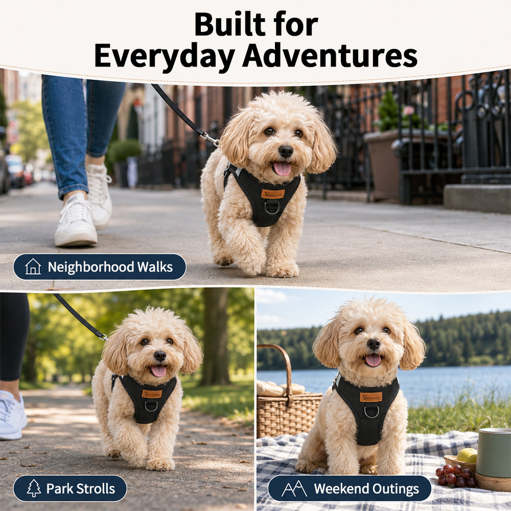 AirLite Lightweight Mesh Dog Harness – product detail 7
