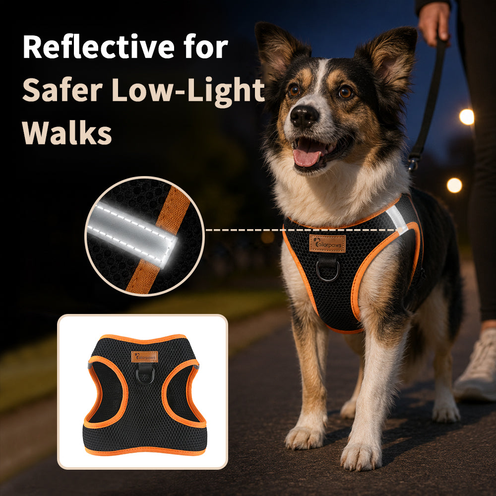 BreezeTrail Air-Mesh Dog Harness – product detail 2