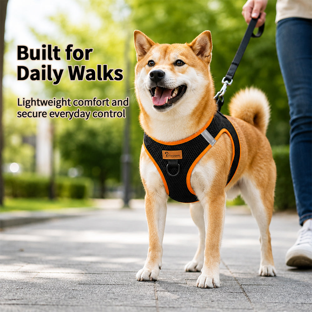 BreezeTrail Air-Mesh Dog Harness – product detail 5