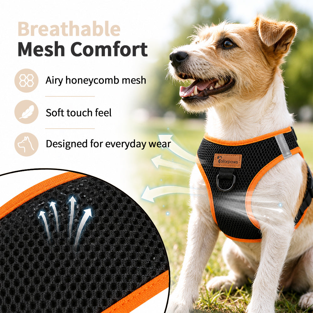 BreezeTrail Air-Mesh Dog Harness – product detail 6