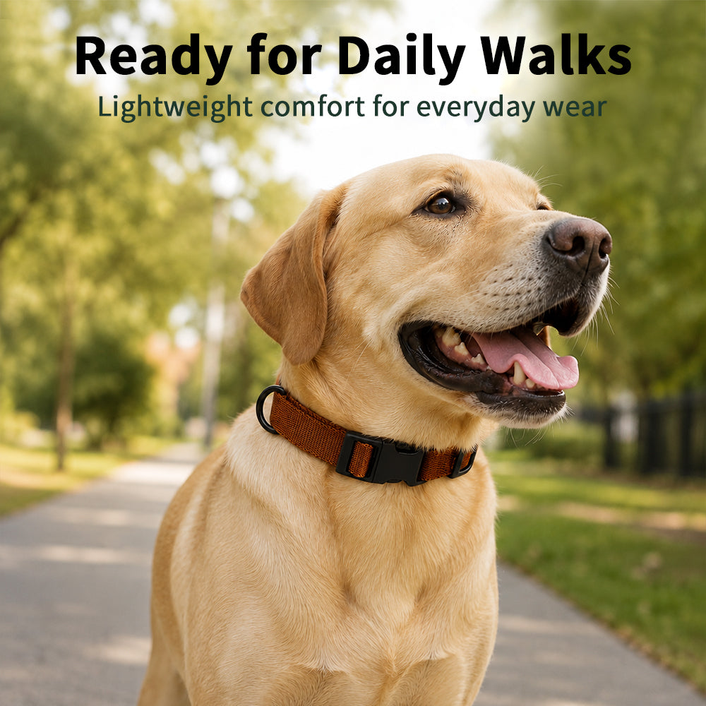 CityFit Quick-Release Dog Collar – product detail 6